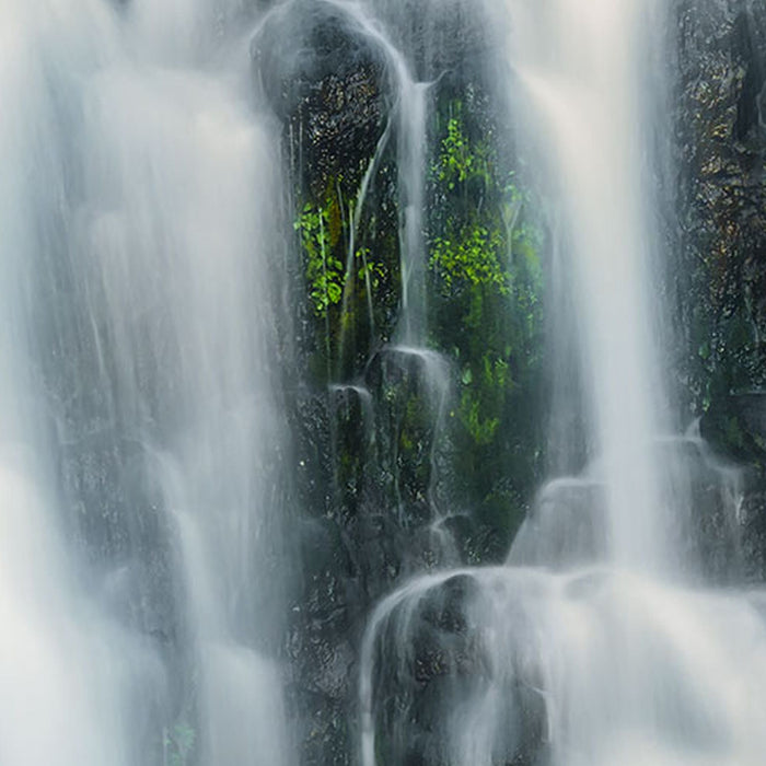 Vlies Fototapete | Ensemble of Veils | Größe 300 x 250 cm