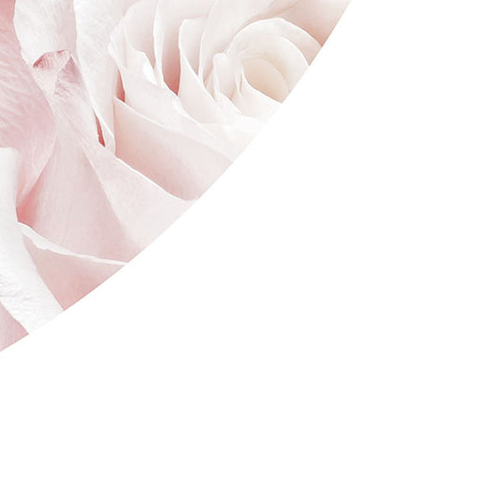 Selbstklebende Vlies Fototapete/Wandtattoo | Pink and Cream Roses | Größe 125 x 125 cm