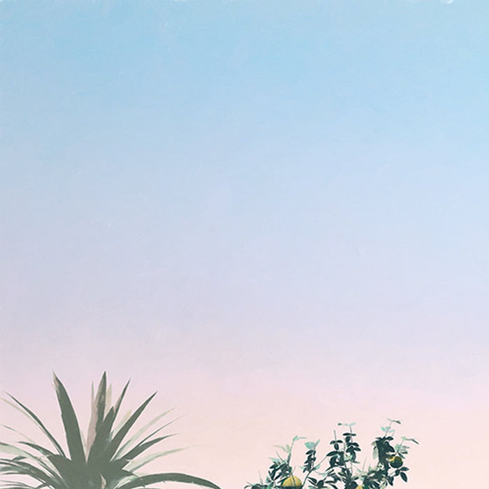 Vlies Fototapete | Matin | Größe 500 x 280 cm