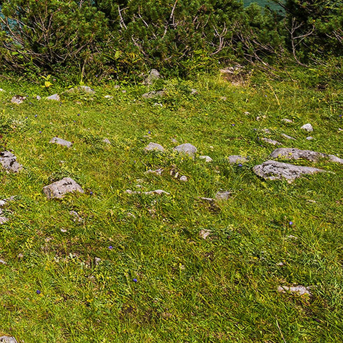 Vlies Fototapete | Paradise Lake | Größe 400 x 250 cm