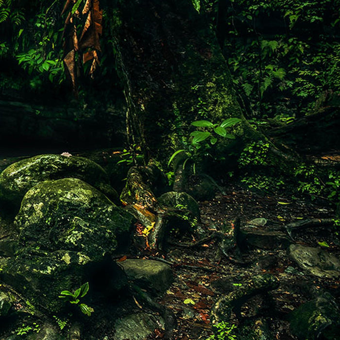 Vlies Fototapete | My Hidden Treasure | Größe 400 x 250 cm