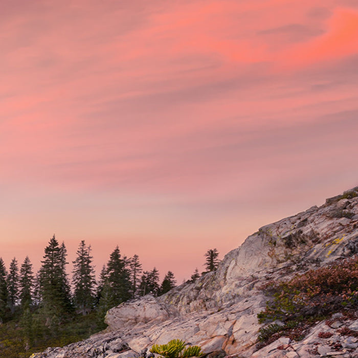 Vlies Fototapete | Between the Light | Größe 450 x 280 cm