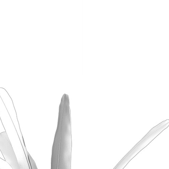 Vlies Fototapete | Musa | Größe 400 x 280 cm