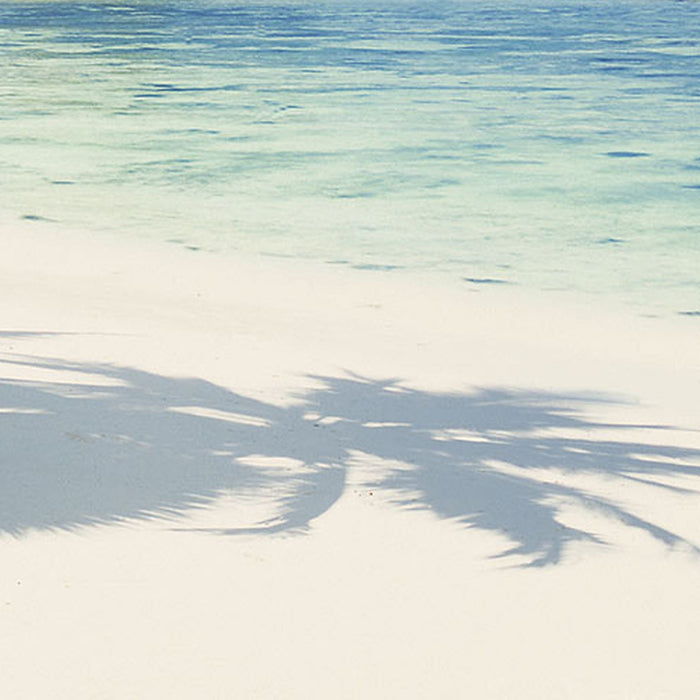 Vlies Fototapete | Coconut Bay | Größe 100 x 280 cm