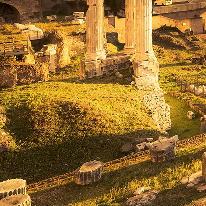 Vlies Fototapete | Forum Romanum | Größe 500 x 280 cm