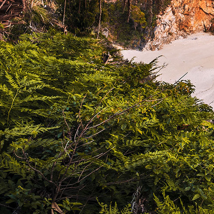 Vlies Fototapete | Paradise Falls | Größe 200 x 100 cm