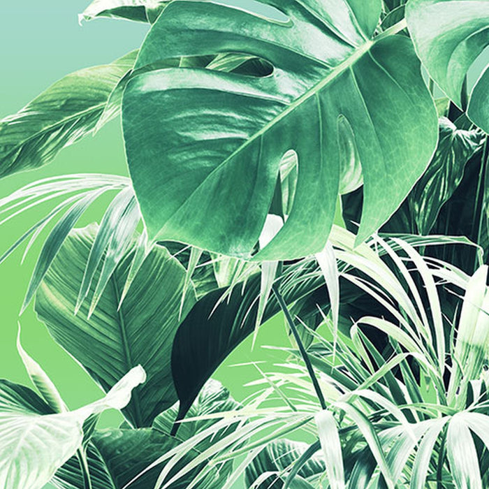 Vlies Fototapete | Evergreen | Größe 200 x 250 cm