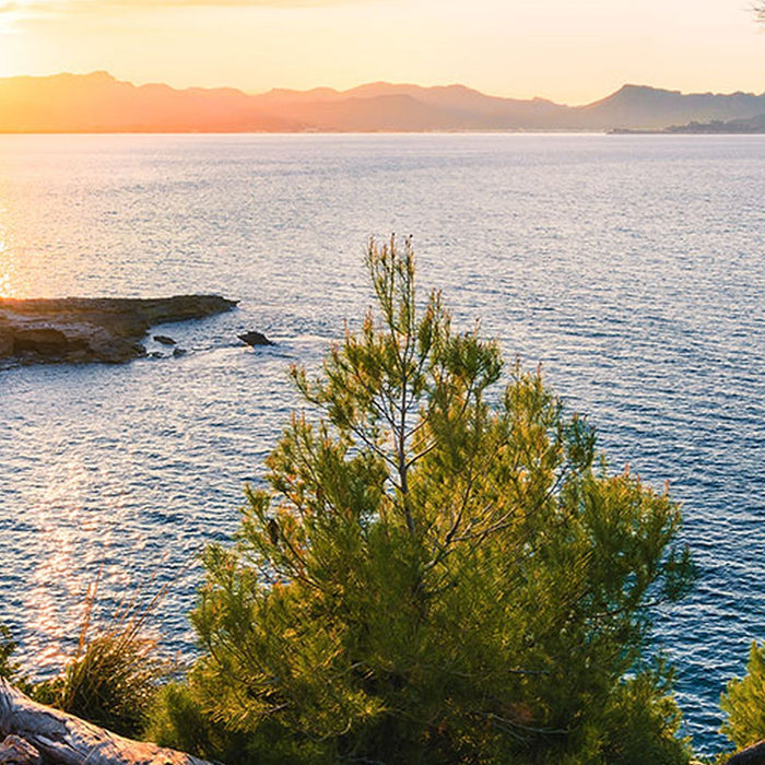 Vlies Fototapete | Southern Light | Größe 400 x 250 cm