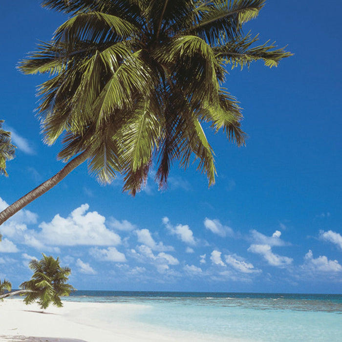 Papier Fototapete | Maldives | Größe 368 x 254 cm
