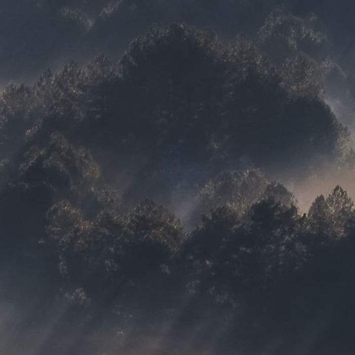 Komar | Vlies Fototapete | Rays | Größe 300 x 250 cm