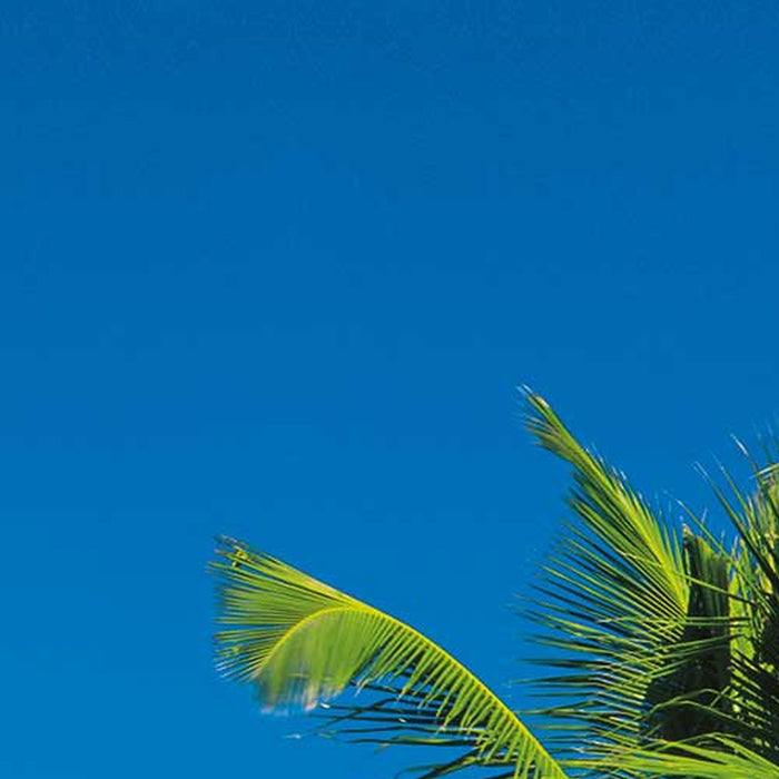 Komar | Papier Fototapete | Seychellen | Größe 270 x 194 cm