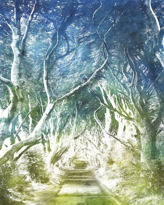 Vlies Fototapete | Alley | Größe 200 x 250 cm