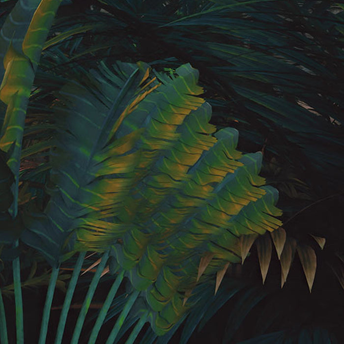 Vlies Fototapete | Jungle Morning | Größe 400 x 250 cm