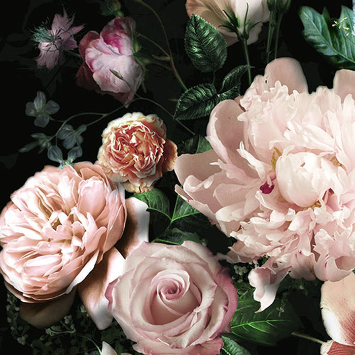 Vlies Fototapete | Victoria Black | Größe 400 x 250 cm