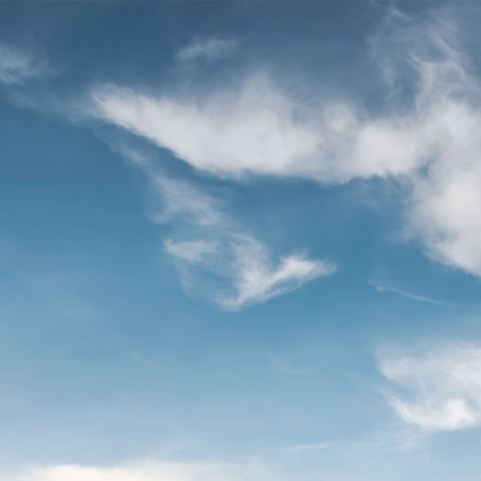 Vlies Fototapete | Am Ende des Tages | Größe 300 x 280 cm