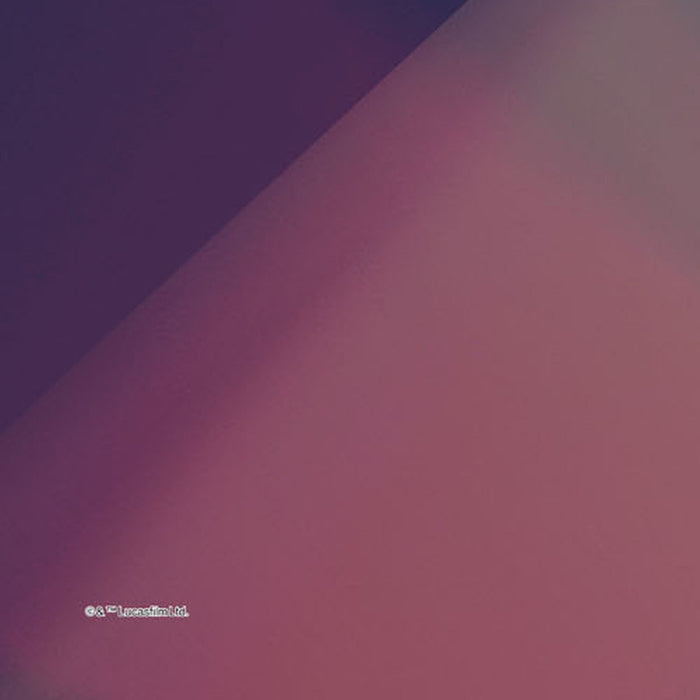 Vlies Fototapete | Star Wars Female Leia | Größe 120 x 200 cm