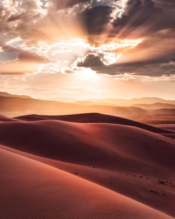 Vlies Fototapete | God Rays | Größe 200 x 250 cm