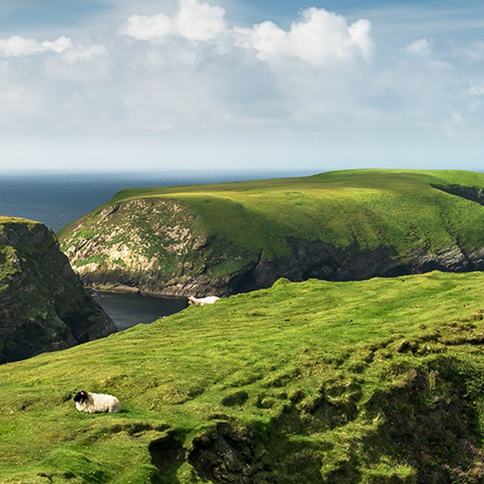 Vlies Fototapete | Green Ireland | Größe 450 x 280 cm