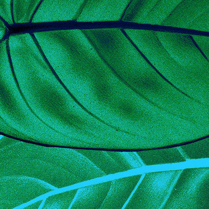 Vlies Fototapete | Jungle Leaves | Größe 200 x 250 cm