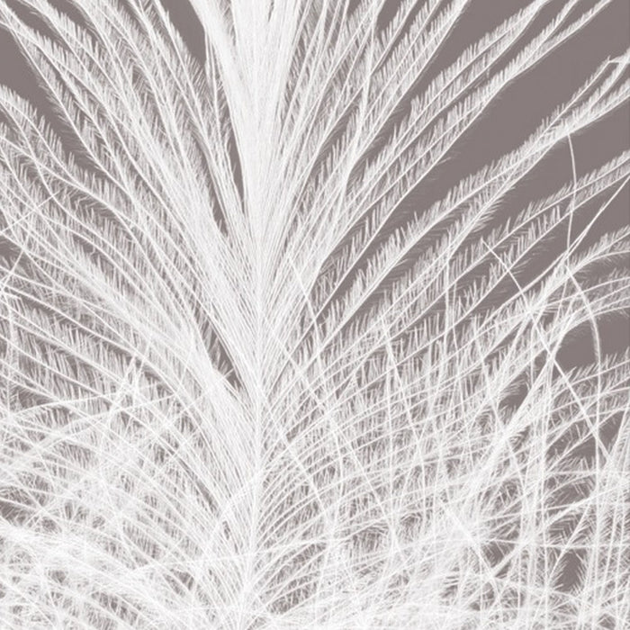 Vlies Fototapete | Federkern | Größe 100 x 250 cm