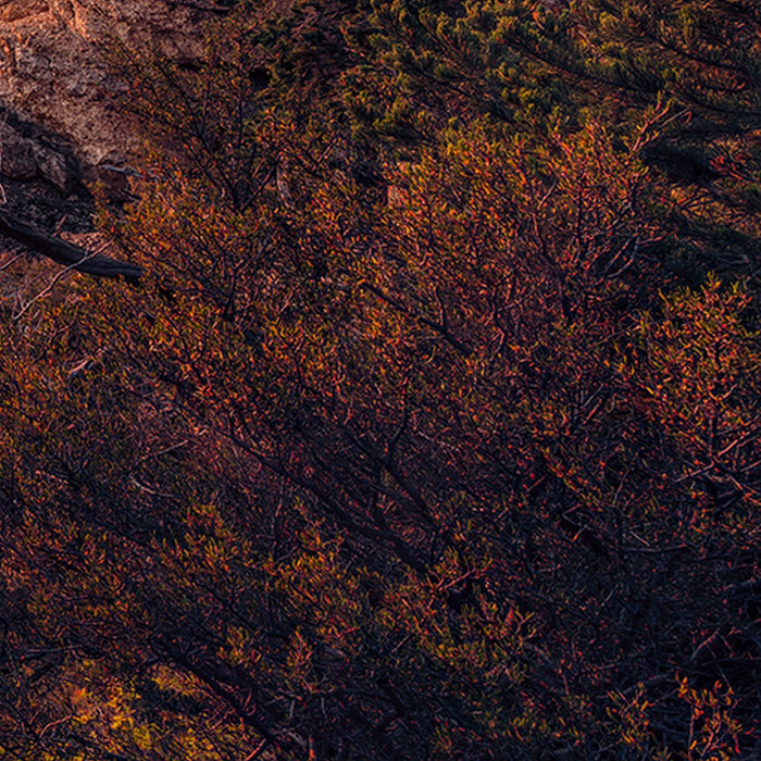 Vlies Fototapete | Grand View  | Größe 450 x 280 cm