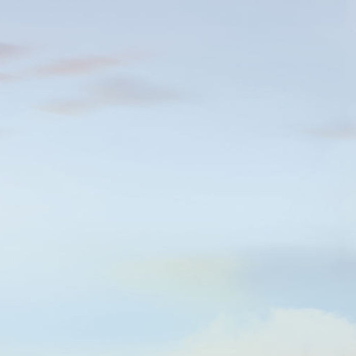 Papier Fototapete | Cars Beach Race | Größe 368 x 254 cm