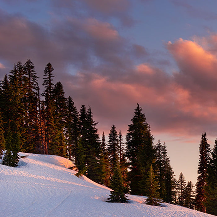 Vlies Fototapete | America the Beautiful | Größe 450 x 280 cm