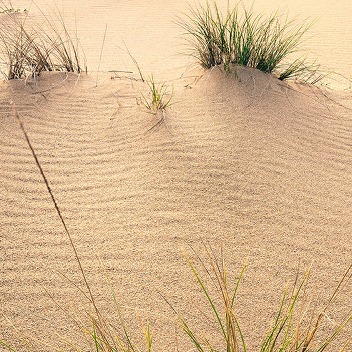 Komar | Vlies Fototapete | Vivid Dunes | Größe 200 x 280 cm