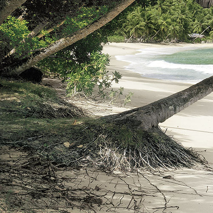 Komar | Fototapete | Seychellen | Größe 368 x 254 cm