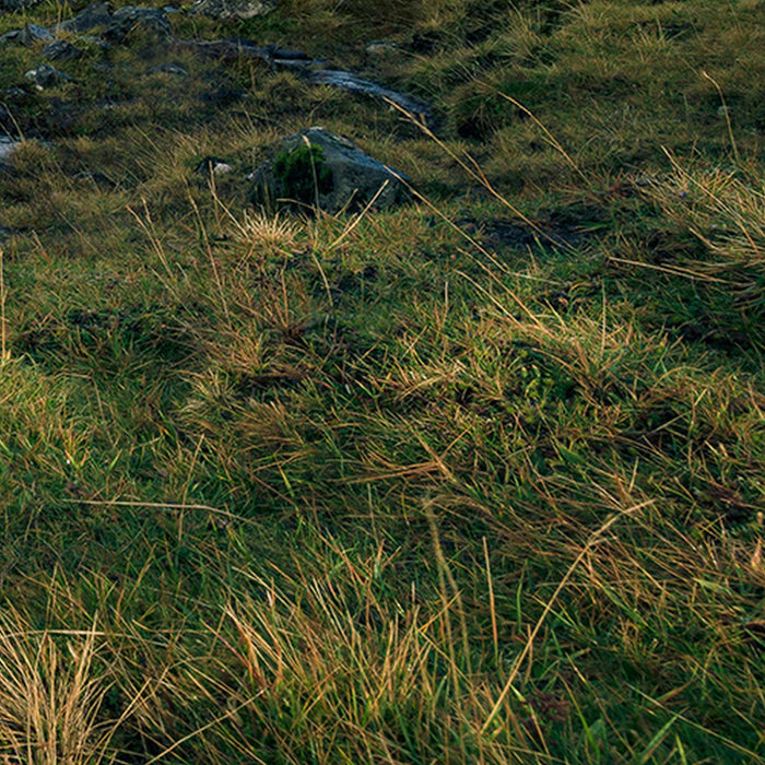 Vlies Fototapete | Coloured Faeroer | Größe 450 x 280 cm