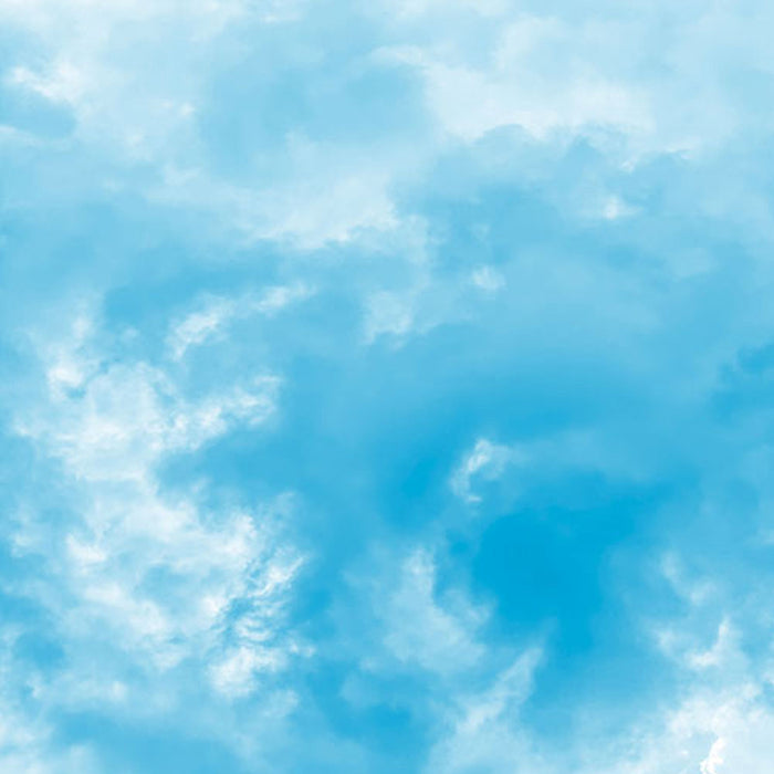 Vlies Fototapete | Himmelszelt  | Größe 200 x 250 cm