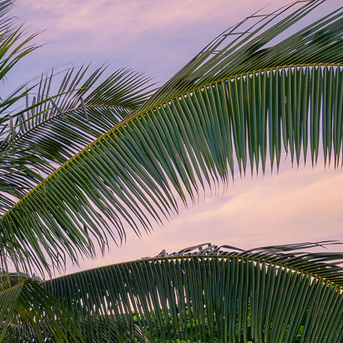 Komar | Vlies Fototapete | Hawaiian Dreams  | Größe 450 x 280 cm