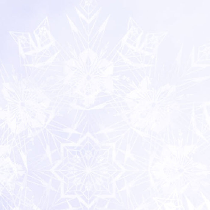 Vlies Fototapete | Frozen Winter Mist | Größe 120 x 200 cm