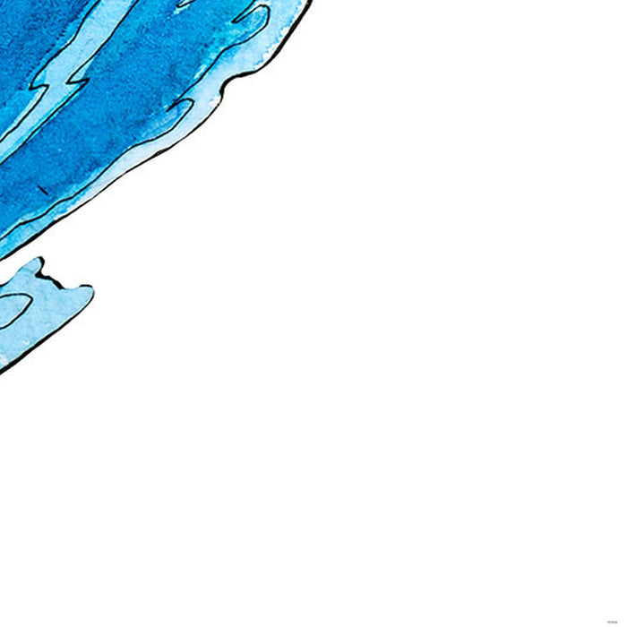 Vlies Fototapete | Mickey Surfing | Größe 300 x 280 cm