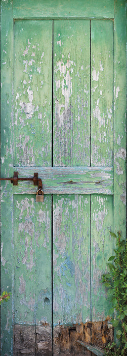 Vlies Fototapete | Gartentür | Größe 100 x 280 cm