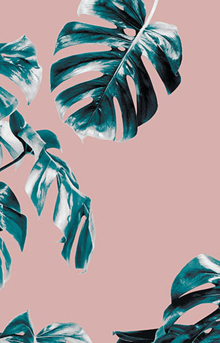 Vlies Fototapete | Monstera Rosé Panel | Größe 100 x 250 cm