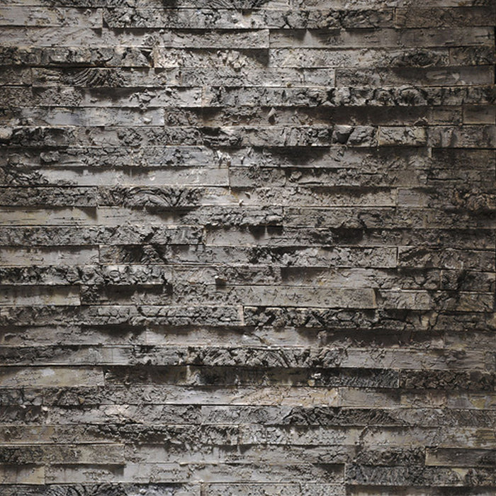 Papier Fototapete | Birkenrinde | Größe 368 x 254 cm