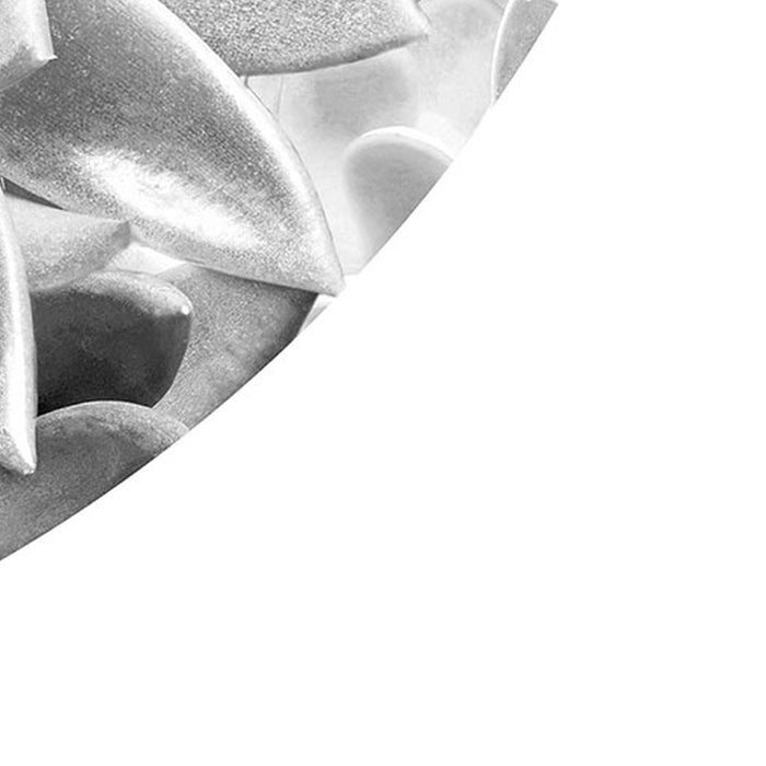 Selbstklebende Vlies Fototapete/Wandtattoo | Echeveria | Größe 125 x 125 cm