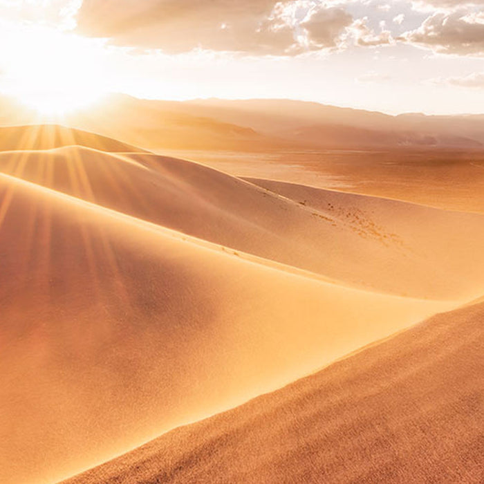 Vlies Fototapete | Gently Touched | Größe 400 x 250 cm