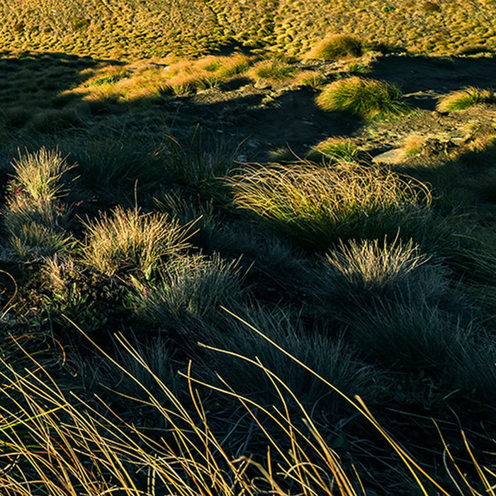 Vlies Fototapete | Green Ridges  | Größe 450 x 280 cm