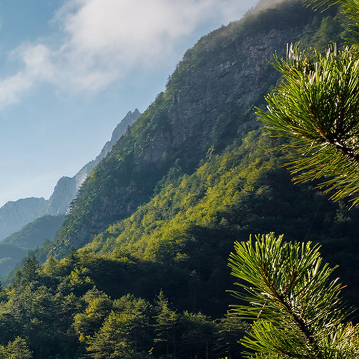 Vlies Fototapete | Elbenpforte | Größe 450 x 280 cm