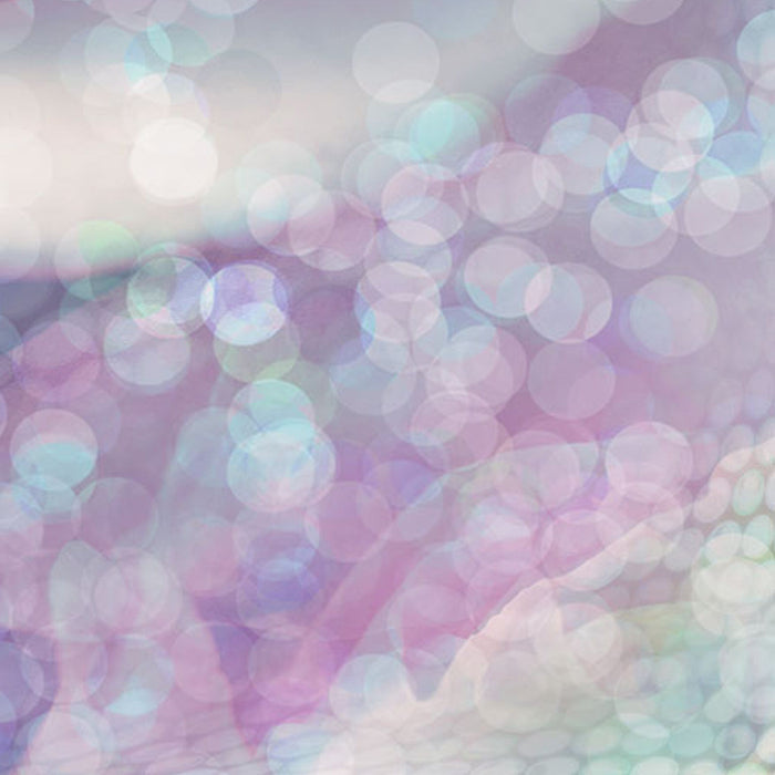 Vlies Fototapete | Delicate Rose | Größe 200 x 260 cm