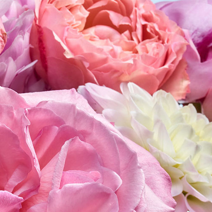 Papier Fototapete | Vibrant Spring | Größe 368 x 254 cm