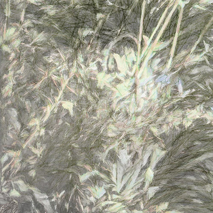Komar | Vlies Fototapete | Côte d’Azur | Größe 200 x 250 cm