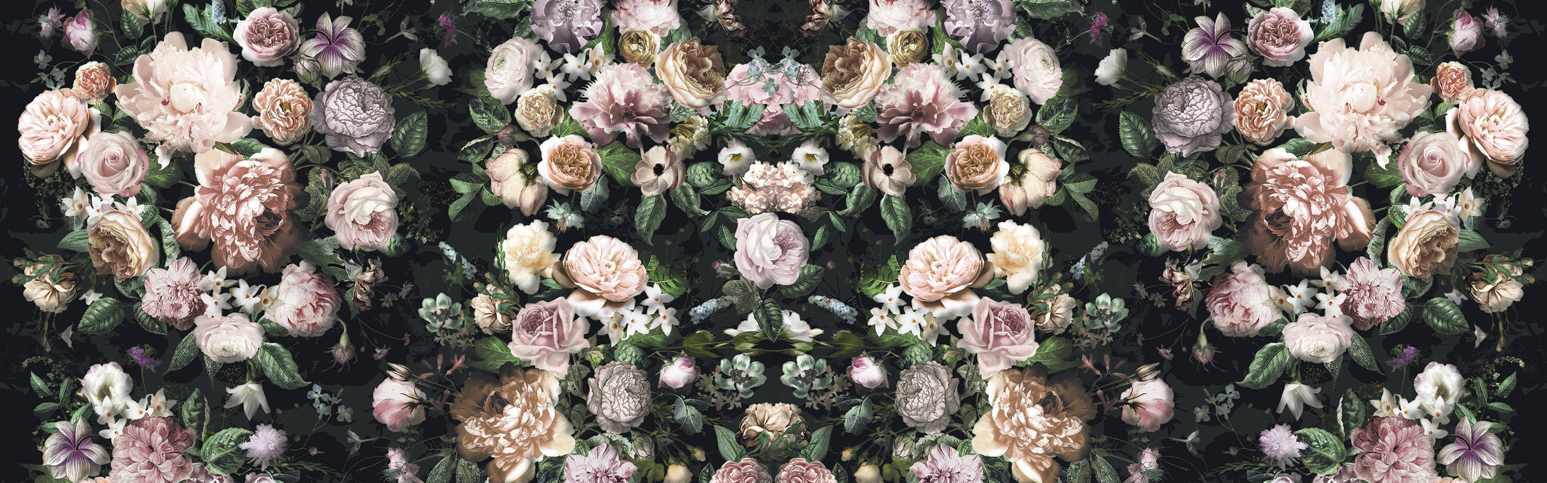 Vlies Fototapete | Victoria Black | Größe 800 x 250 cm