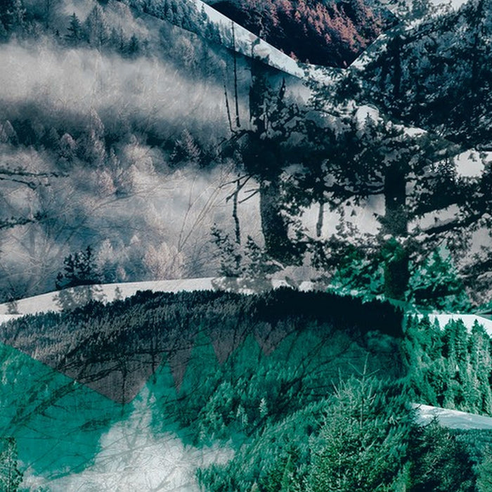 Vlies Fototapete | Up and Down | Größe 368 x 248 cm