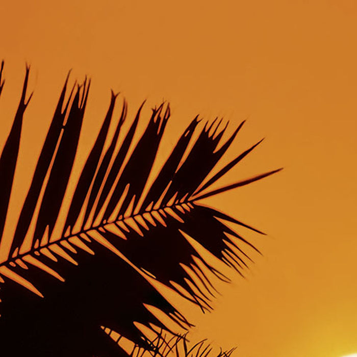 Komar | Fototapete | Sunset | Größe 97 x 220 cm