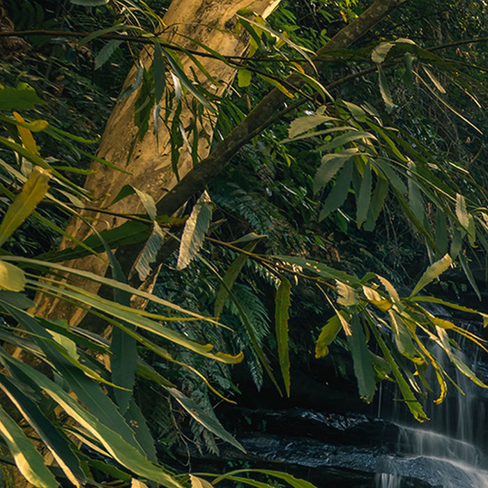 Komar | Vlies Fototapete | Golden Falls | Größe 450 x 280 cm