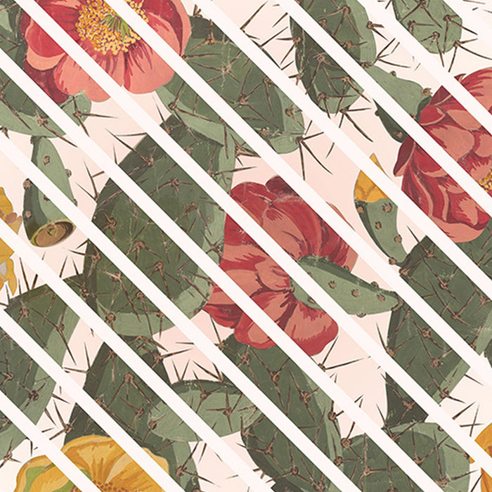 Vlies Fototapete | Cactus | Größe 300 x 280 cm