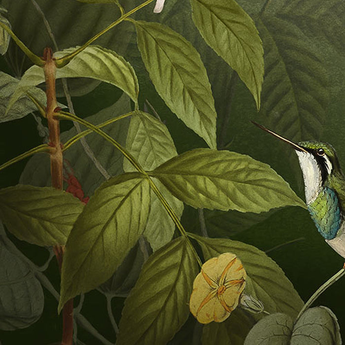 Komar | Vlies Fototapete | Wildlife Birds  | Größe 200 x 250 cm
